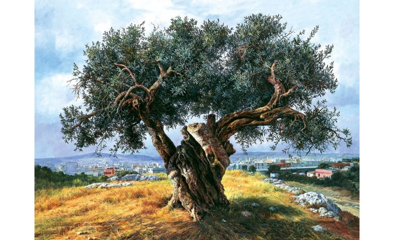ΚΛΑΣΣΙΚΟΣ ΠΙΝΑΚΑΣ ΜΕ ΕΛΙΑ  ΚΑΙ ΘΑΛΑΣΣΑ